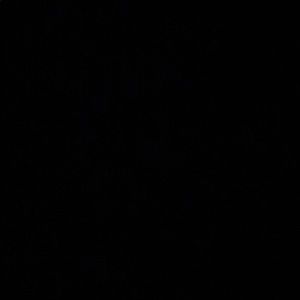 Meet your Posher, Elvis